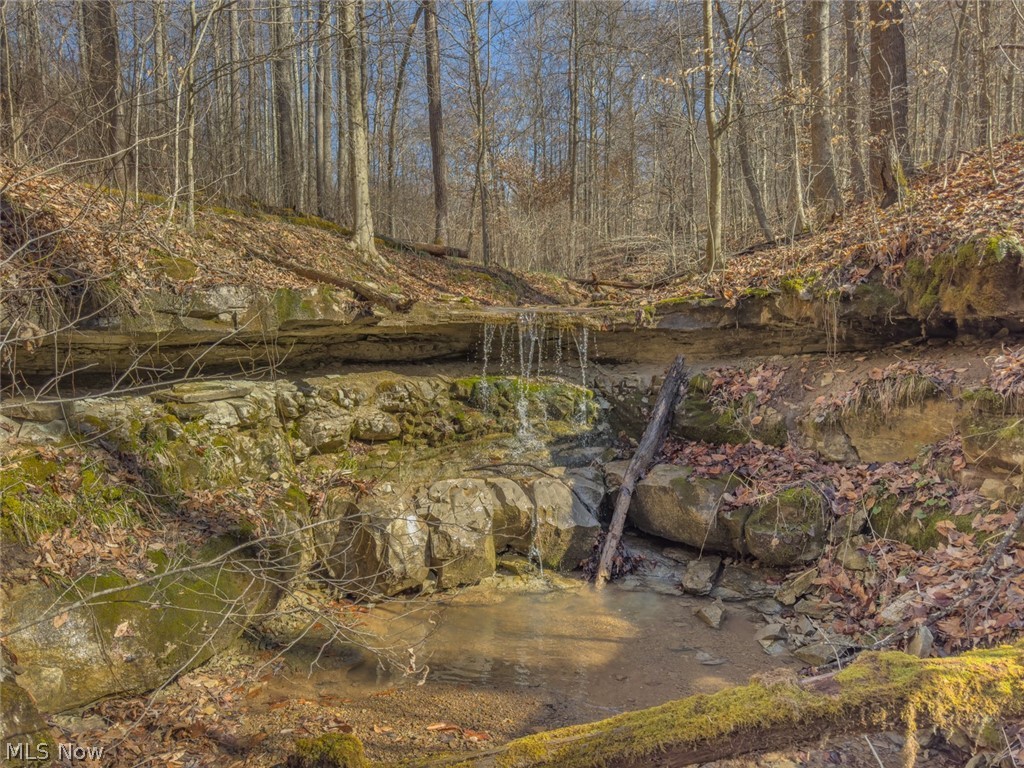 0 Clem Garvin Road Caldwell, OH 43724 - Photo 25 of 50 View of woods