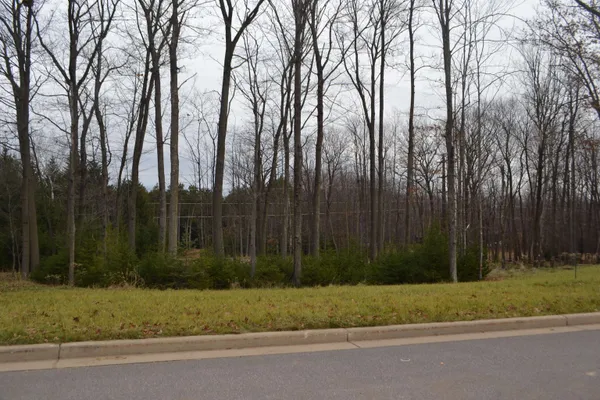 $79,900 | Lot #35 Buck Wood Lane, Wausau, WI 54401