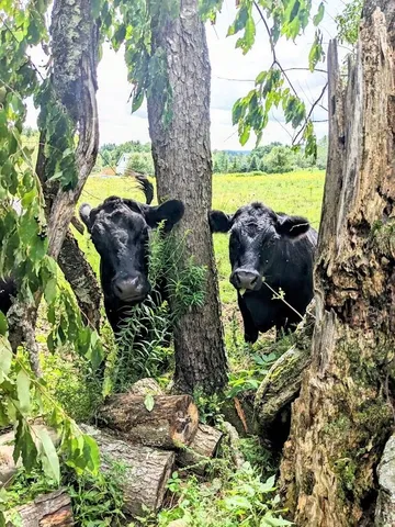 $529,000 | 1550 Highway 120, Sheldon, VT 05457