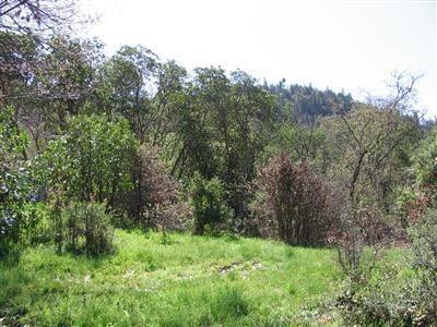 0 Wards Creek Road Gold Hill, OR 97525 - Photo 3 of 5 Additional Photo