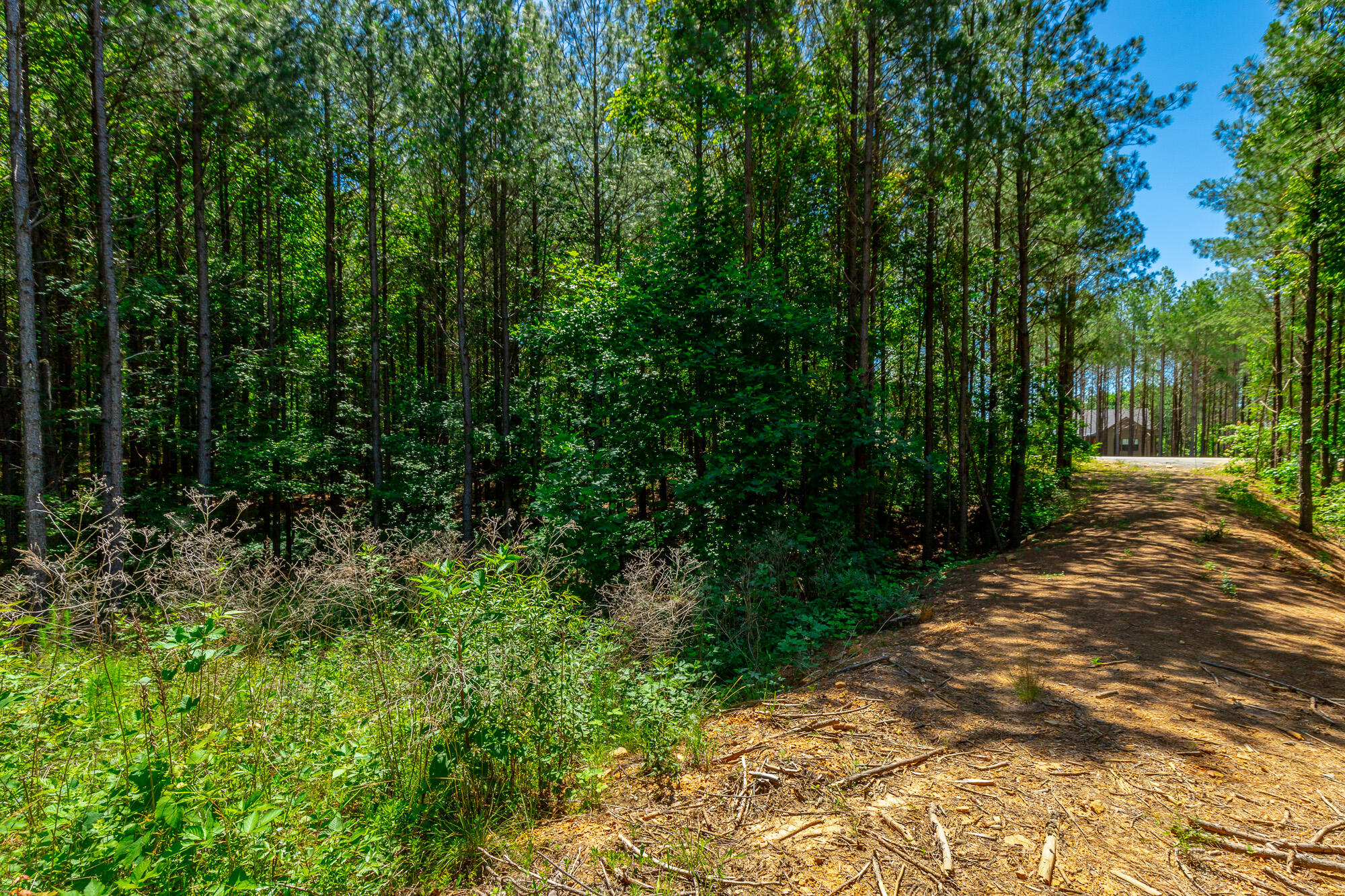 0 Split Rail Way, Unit LOT 1163 Guild, TN 37340 - Photo 11 of 118 River Gorge Lot 1163 HD-23