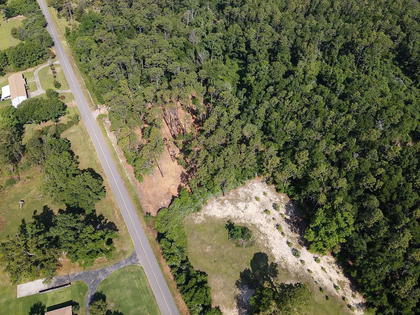 0 Antietam Road Lillian, AL 36549 - Photo 9 of 32