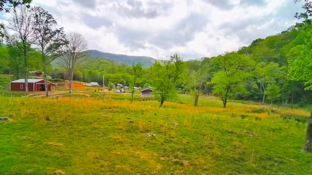 3325 Pack Mountain Road Murphy, NC 28906 - Photo 45 of 69