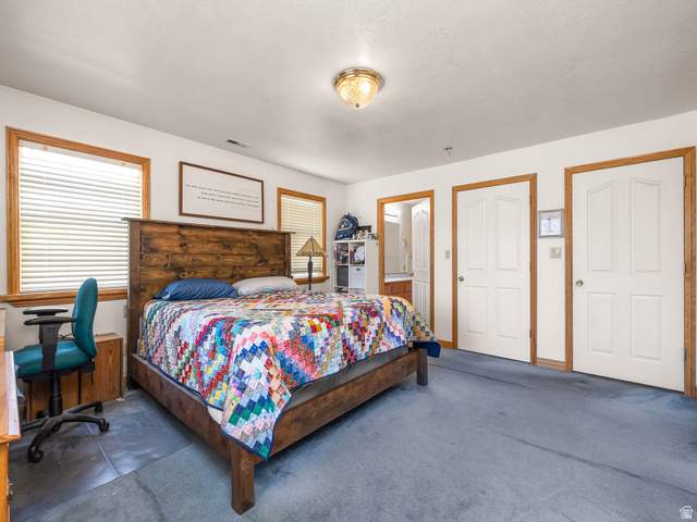 598 West 1600th Street North Mapleton, UT 84664 - Photo 11 of 34 Carpeted primary bedroom with multiple windows and ensuite bathroom
