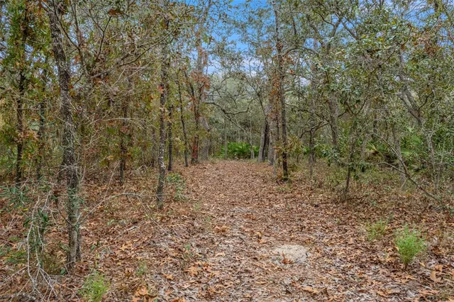 a view of a city with lush green forest