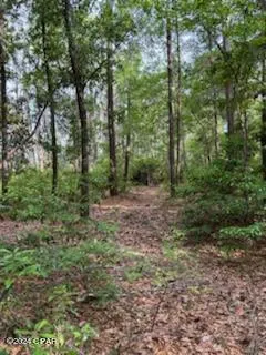$64,995 | Lot 20 Magnolia Drive, Vernon, FL 32462