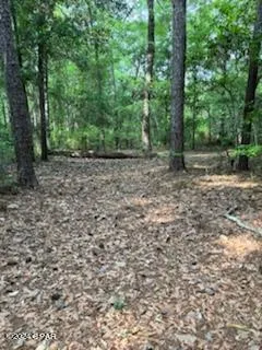 $64,995 | Lot 20 Magnolia Drive, Vernon, FL 32462