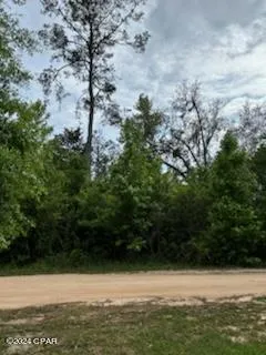 $64,995 | Lot 20 Magnolia Drive, Vernon, FL 32462