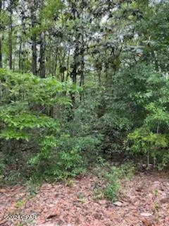 $64,995 | Lot 20 Magnolia Drive, Vernon, FL 32462