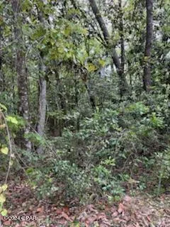 $64,995 | Lot 20 Magnolia Drive, Vernon, FL 32462