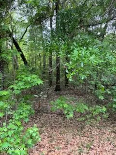 $64,995 | Lot 20 Magnolia Drive, Vernon, FL 32462