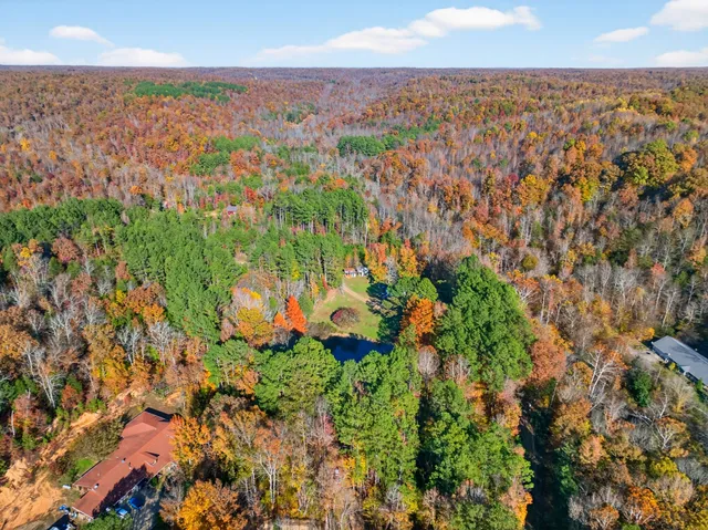 a yard with a sink and flowers
