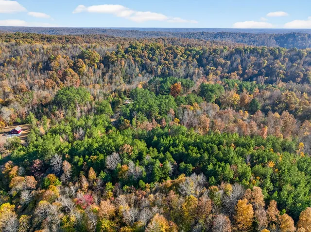 a view of house with yard