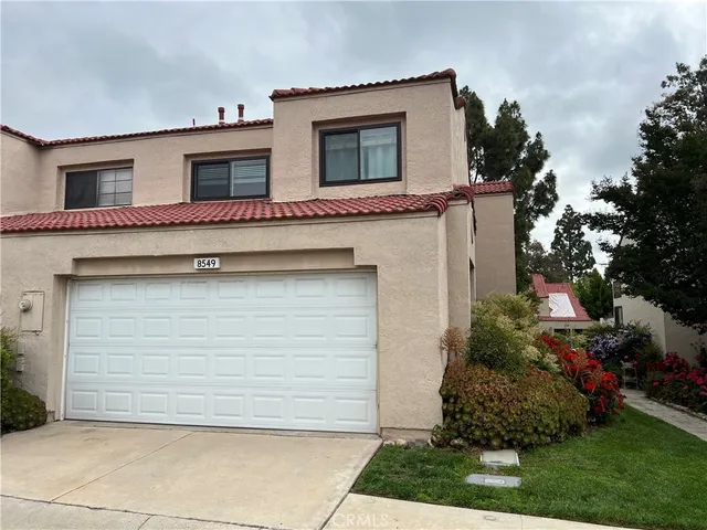 a backyard with potted plants and a large tree