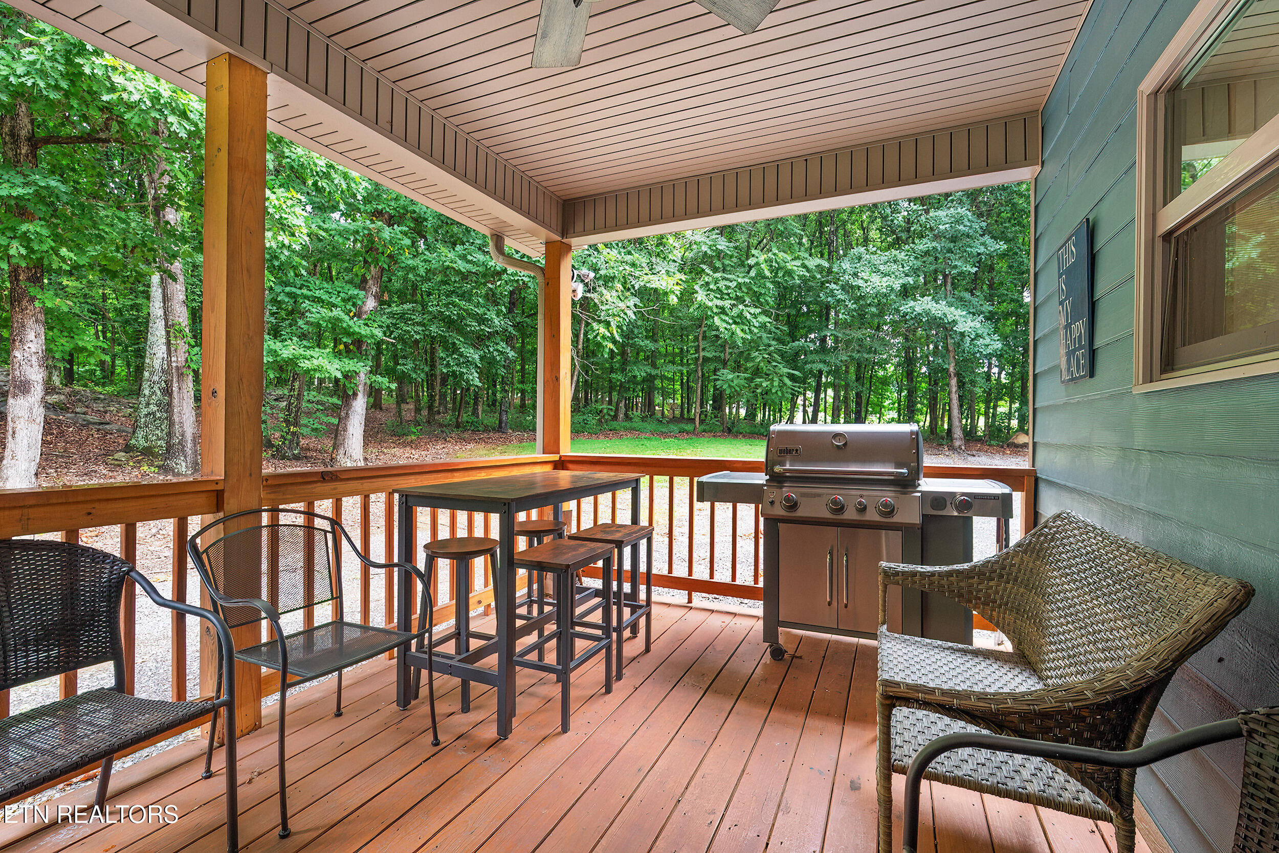 910 English Mountain Road Cosby, TN 37722 - Photo 3 of 55 3