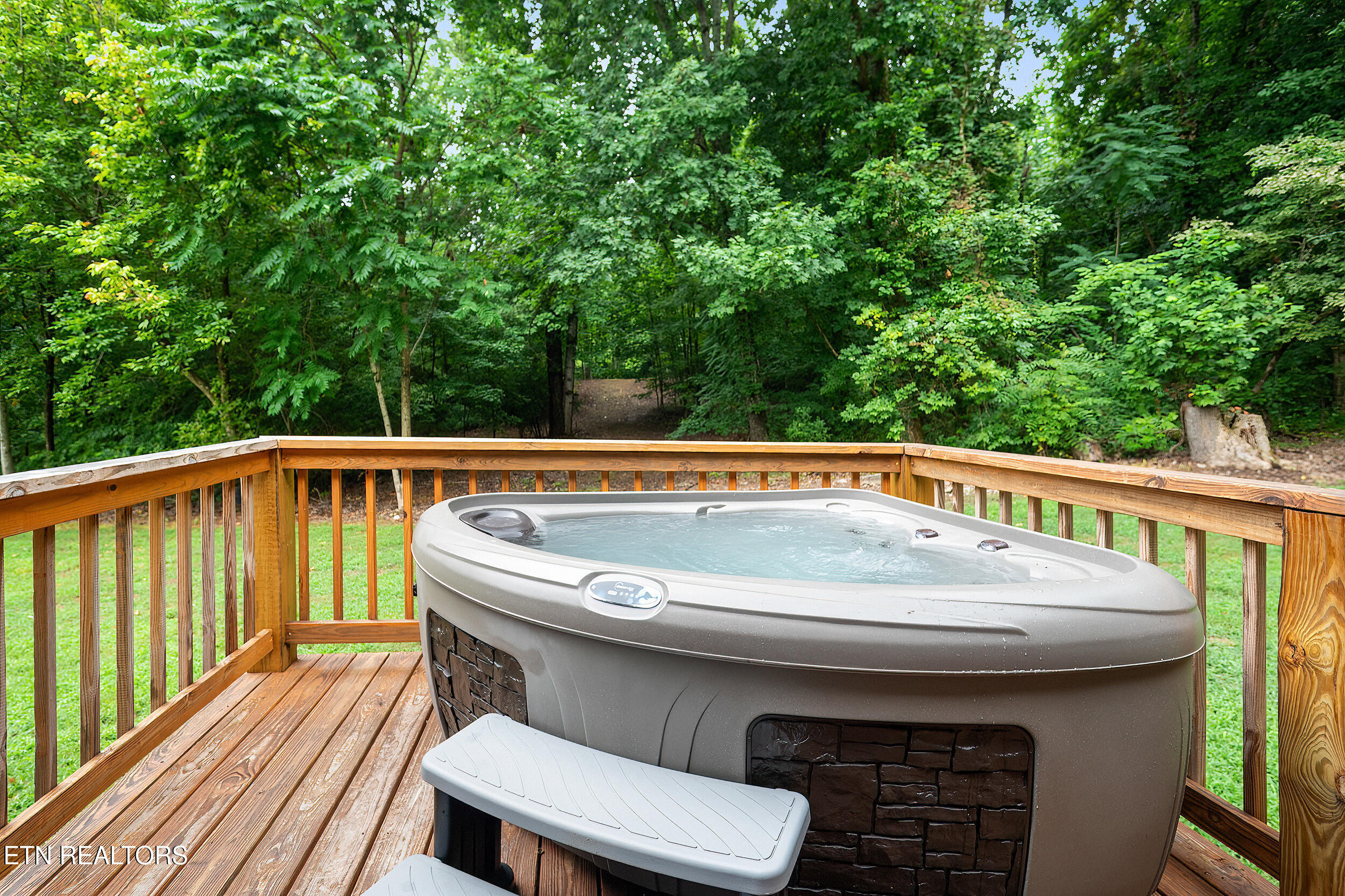 910 English Mountain Road Cosby, TN 37722 - Photo 6 of 55 6