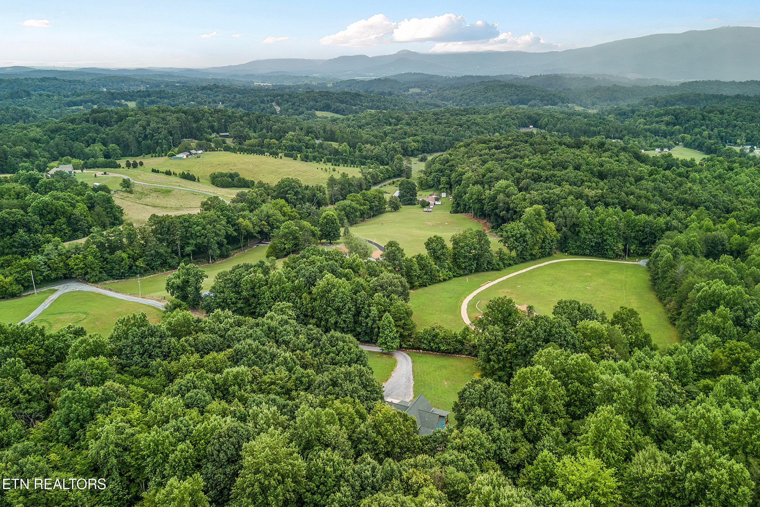 910 English Mountain Road Cosby, TN 37722 - Photo 7 of 55 7