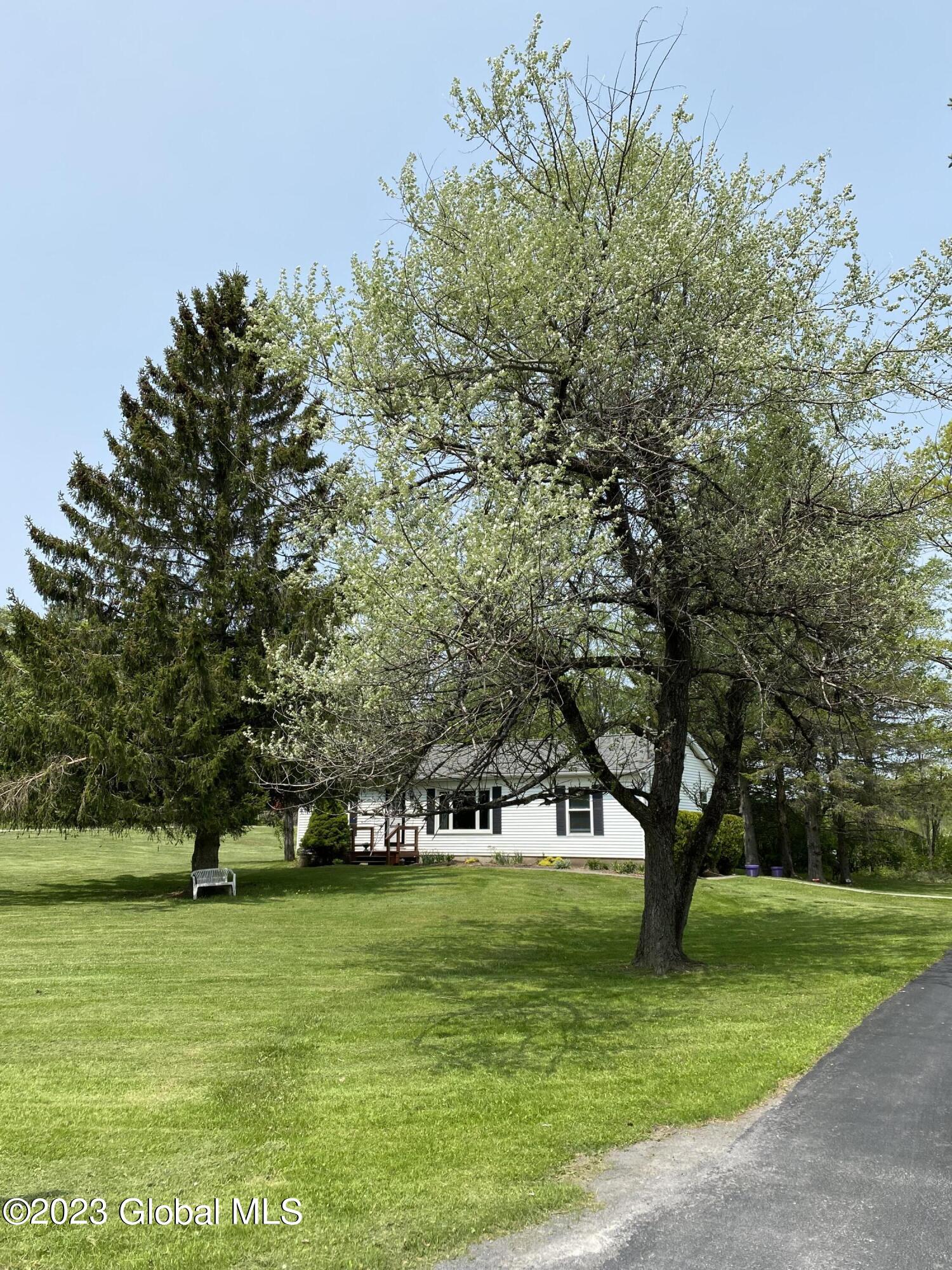 233 Lake Road Westerlo, NY 12023 - Photo 1 of 19 IMG_2252
