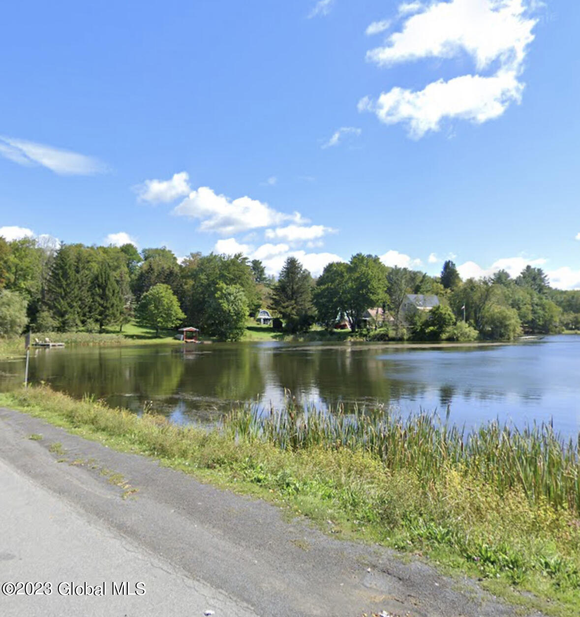 233 Lake Road Westerlo, NY 12023 - Photo 3 of 19 IMG_8941