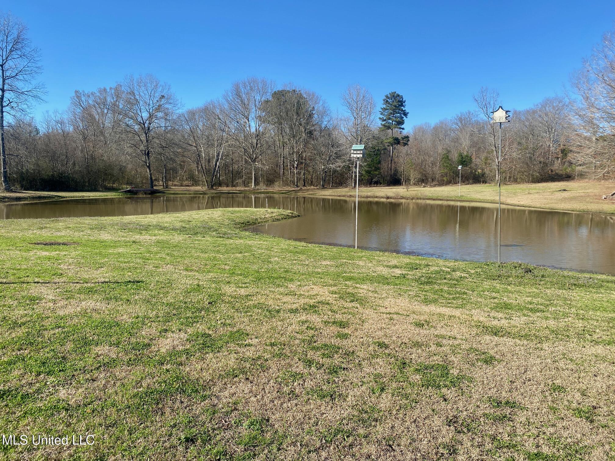 716 Whitfield Road Brandon, MS 39042 - Photo 6 of 57 IMG_9160