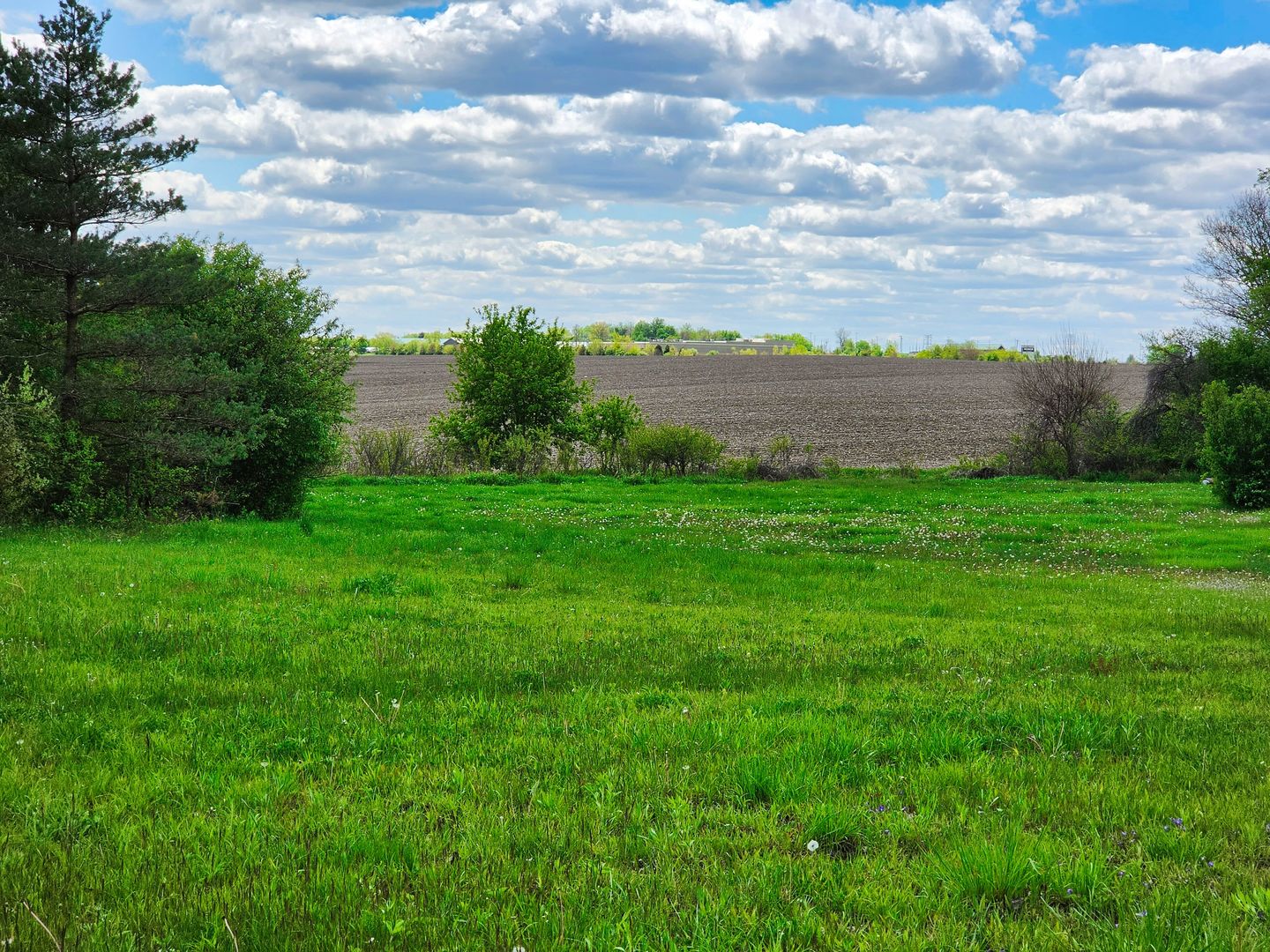 1947 East Steger Road Crete, IL 60417 - Photo 9 of 16 Gallery Image 9