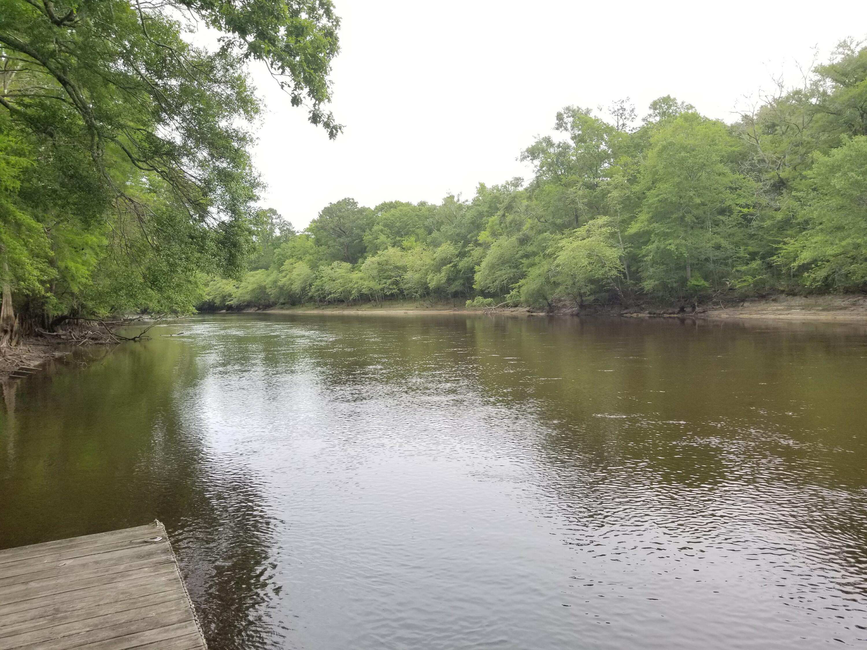 0 Sawyer Ridgeville, SC 29472 - Photo 5 of 18 20180514_095510