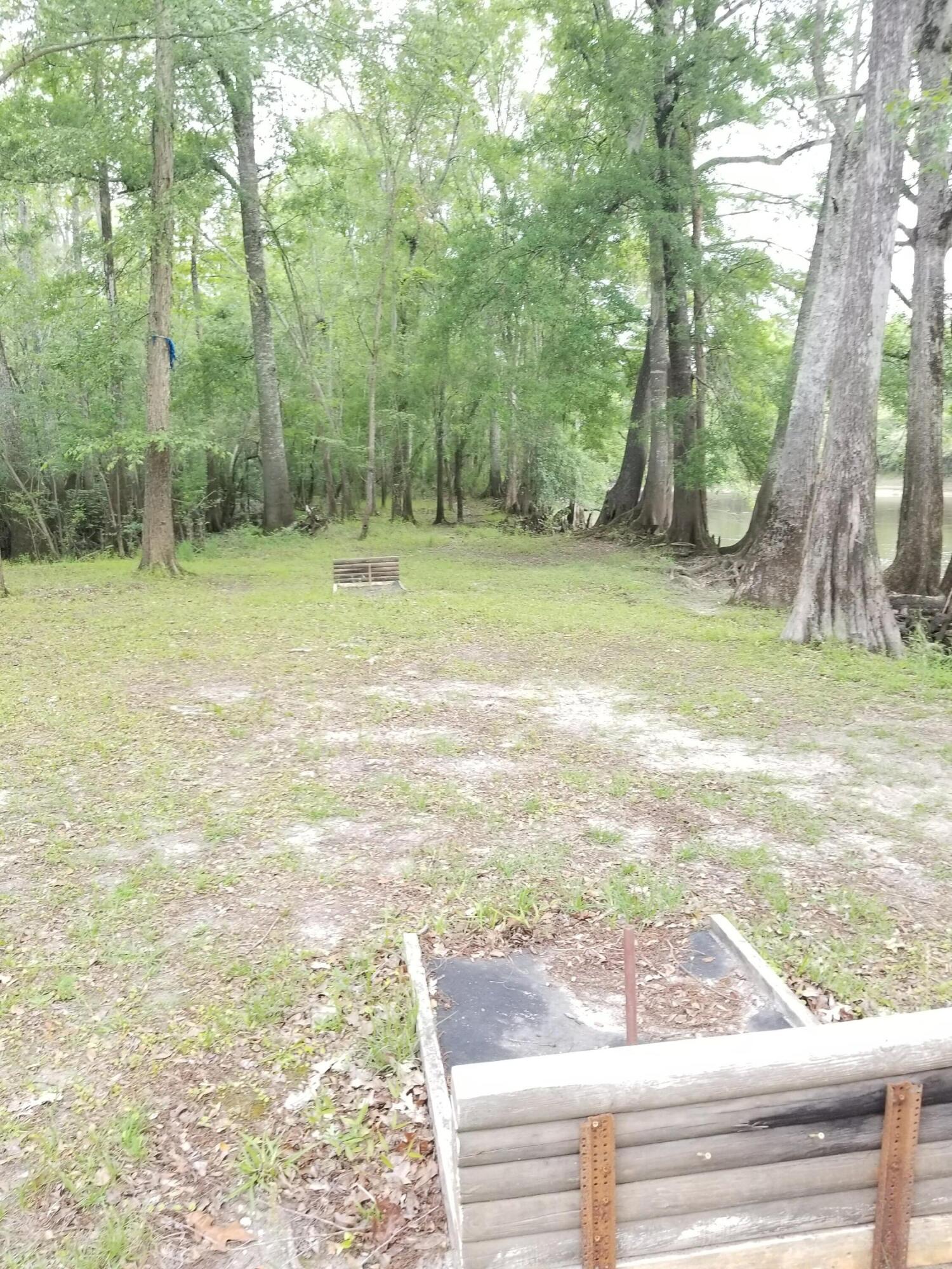0 Sawyer Ridgeville, SC 29472 - Photo 10 of 18 20180514_095708