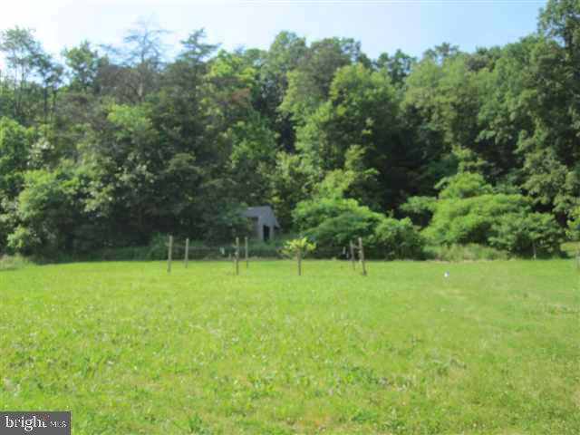 140 Toad Hollow Road Liverpool, PA 17045 - Photo 3 of 10 Gallery Image 3