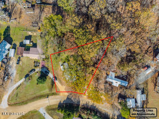 352 Coles Point Road Batesville, MS 38606 - Photo 11 of 53 352 Coles Point Rd Batesville MS_2025-12