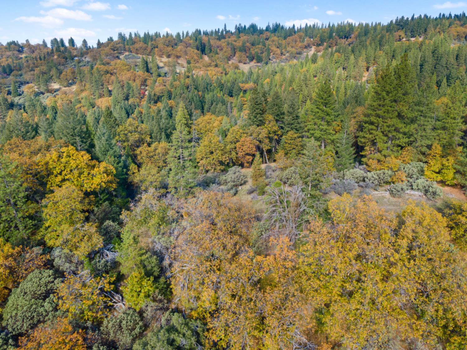 0 Starkes Grade Road Pollock Pines, CA 95726 - Photo 4 of 23