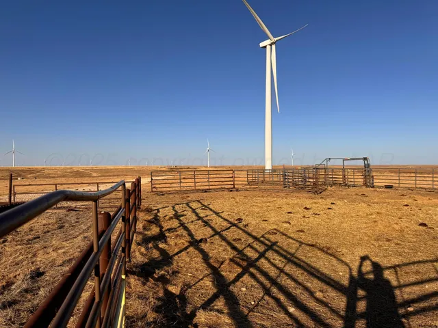 a view of a dry yard with wooden fence