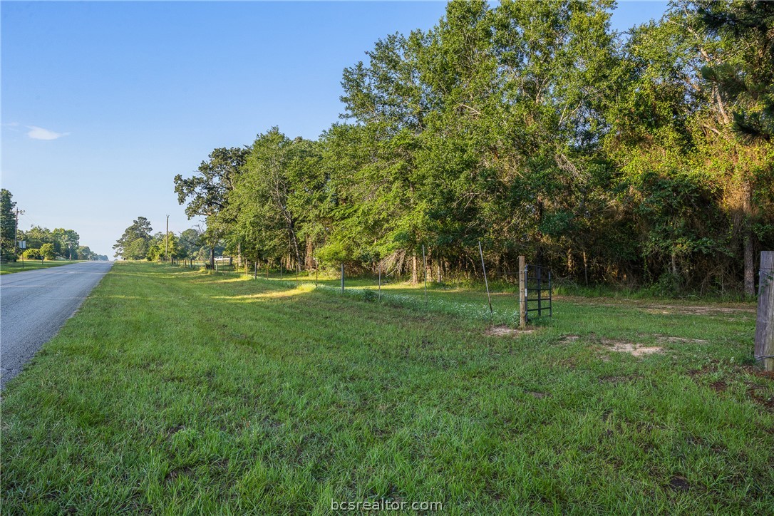 26795 Rice Road Hockley, TX 77447 - Photo 3 of 19 a view of a park