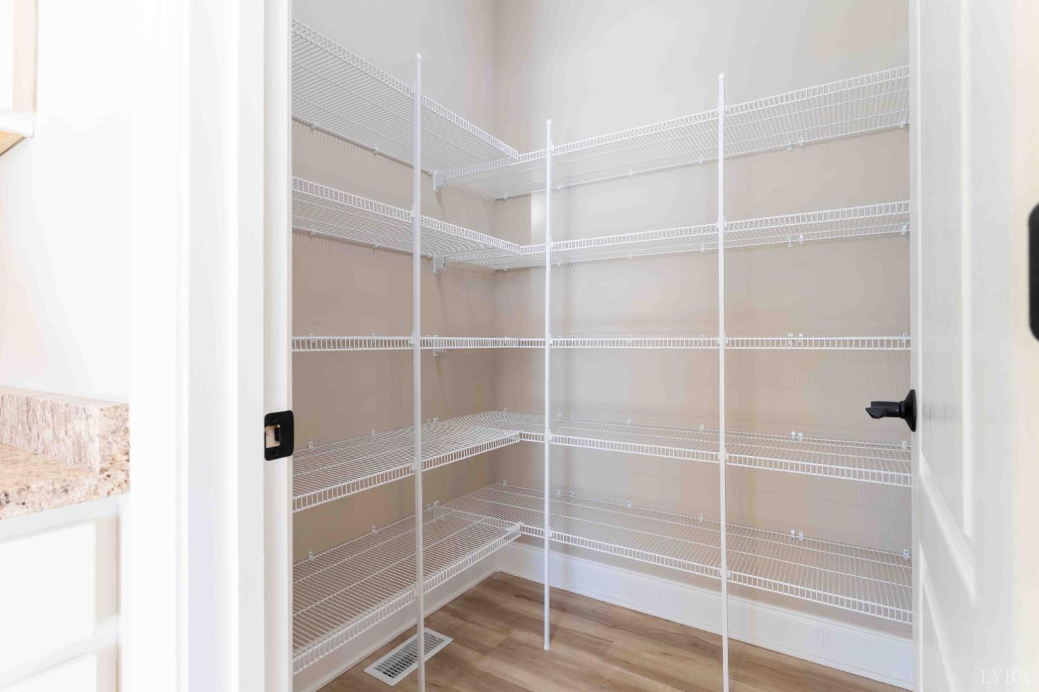 1115 Thornblade Way Blue Ridge, VA 24064 - Photo 6 of 44 a view of walk in closet with empty racks
