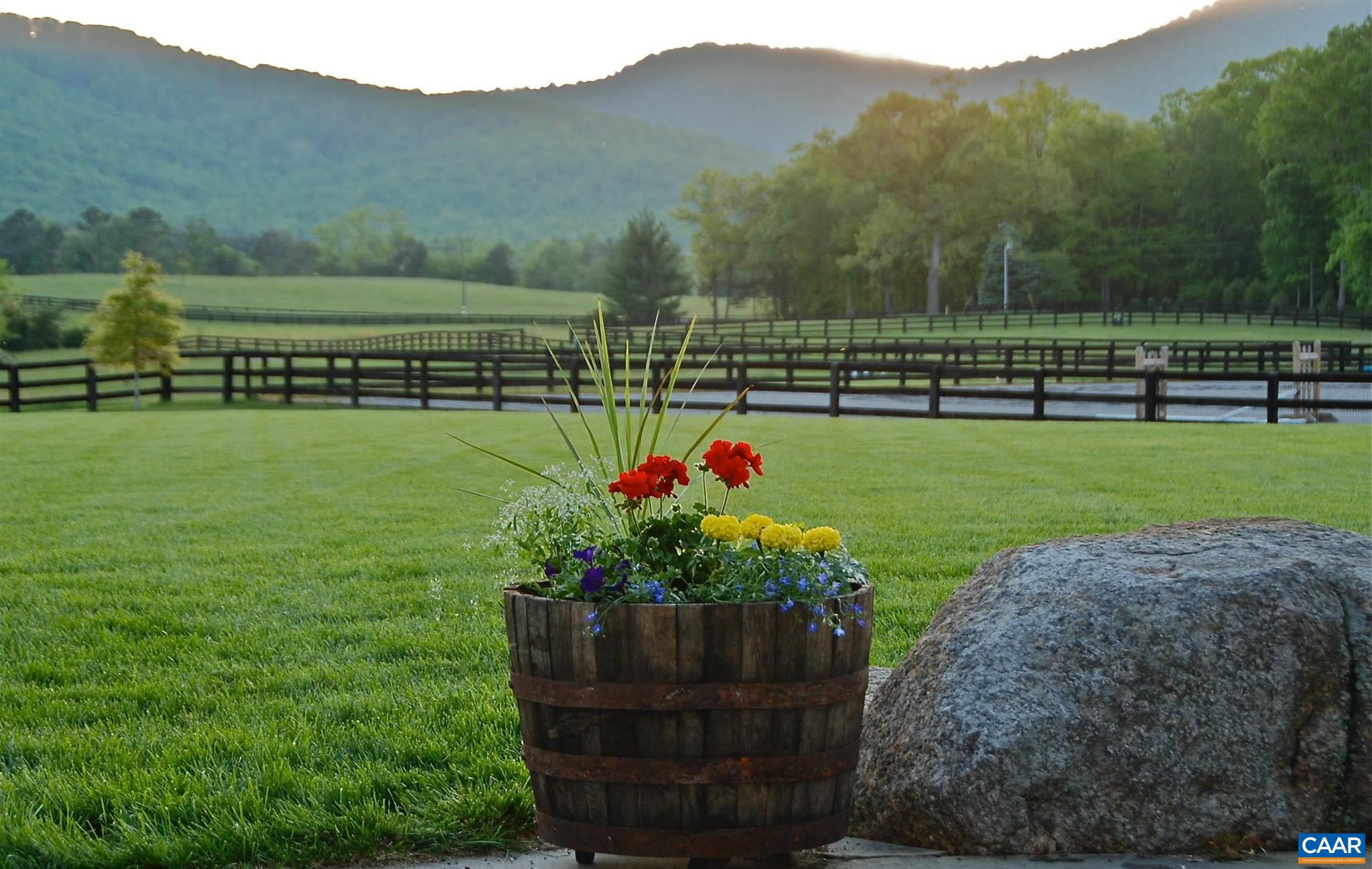 5095 Wesley Chapel Road Free Union, VA 22940 - Photo 4 of 75 a view of a garden with a large tree