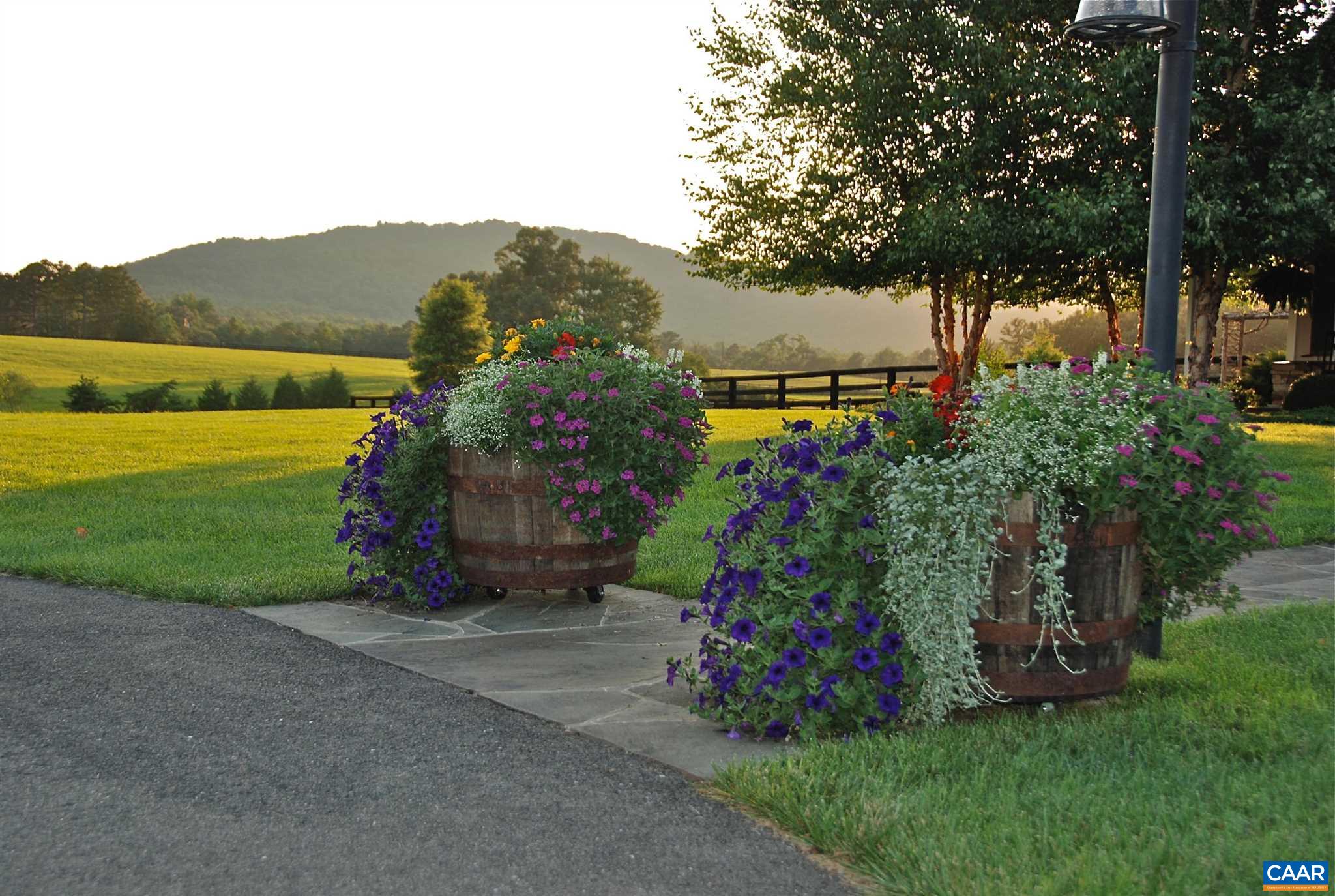 5095 Wesley Chapel Road Free Union, VA 22940 - Photo 5 of 75 a view of a garden with a building in front of it
