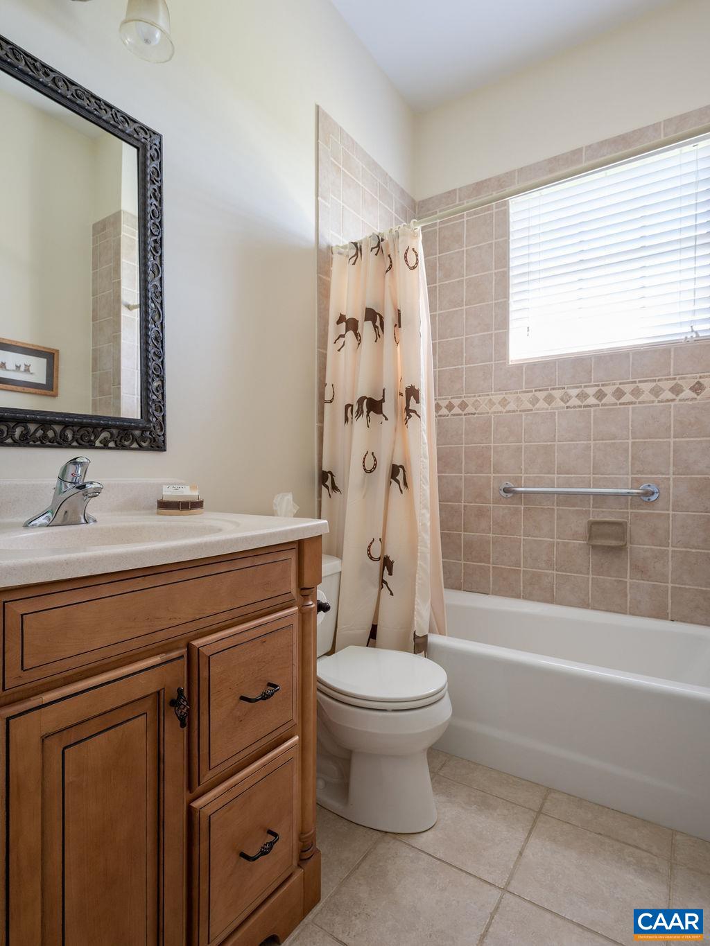 5095 Wesley Chapel Road Free Union, VA 22940 - Photo 64 of 75 a bathroom with a sink a toilet and shower