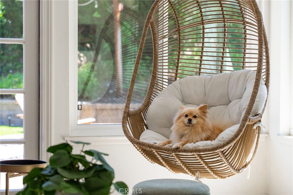 22112 Comanche Road Lake Forest, CA 92630 - Photo 17 of 41