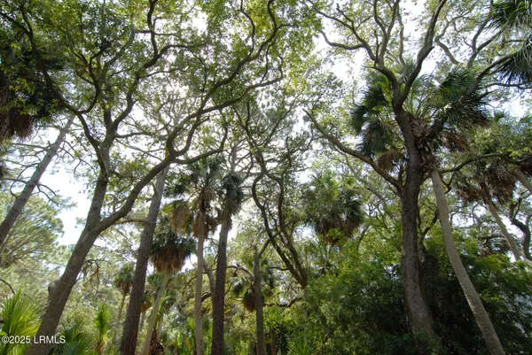 $638,000 | 410 Skimmer Cove, Fripp Island, SC 29920