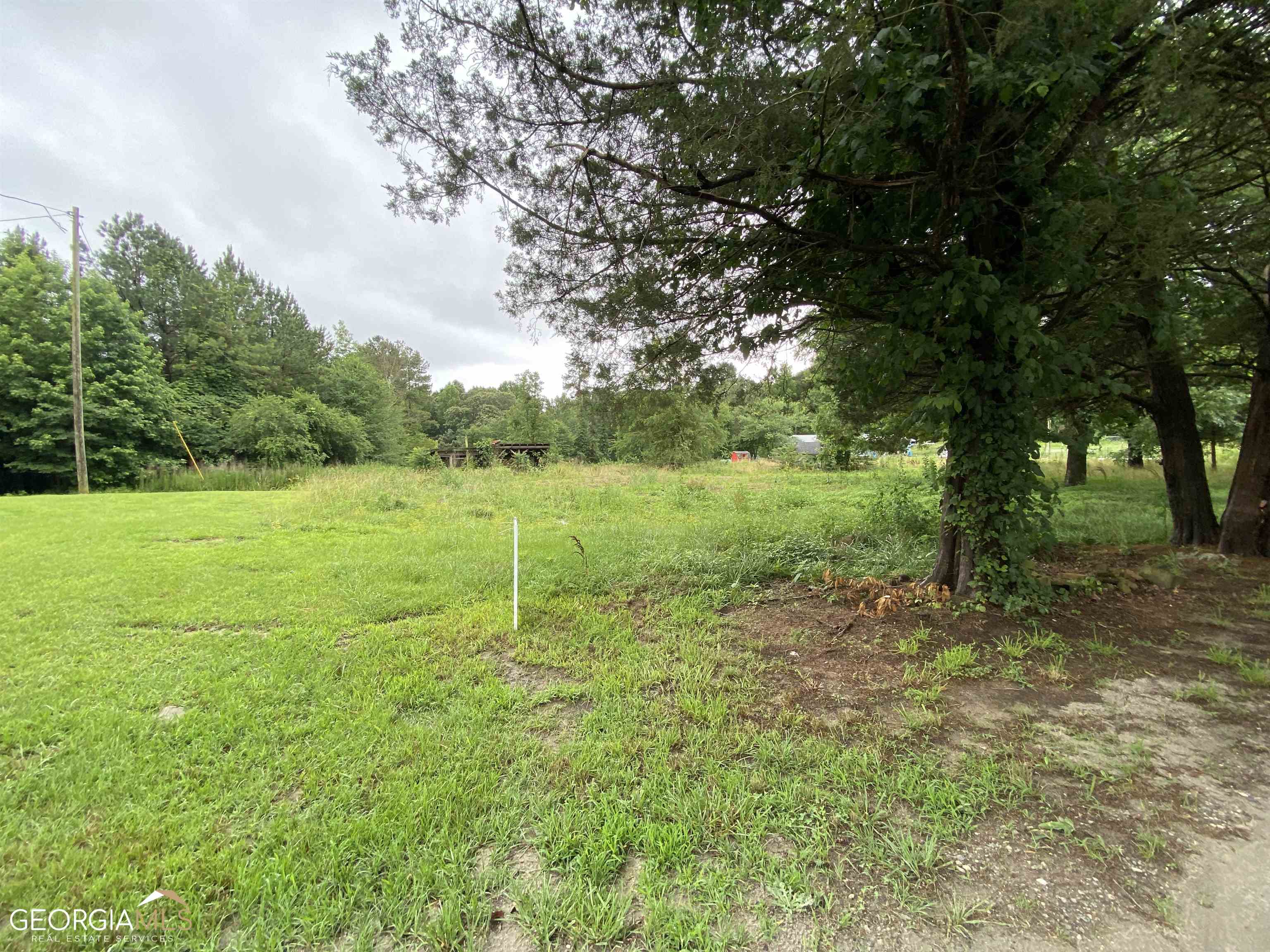 a view of a big yard with a large tree
