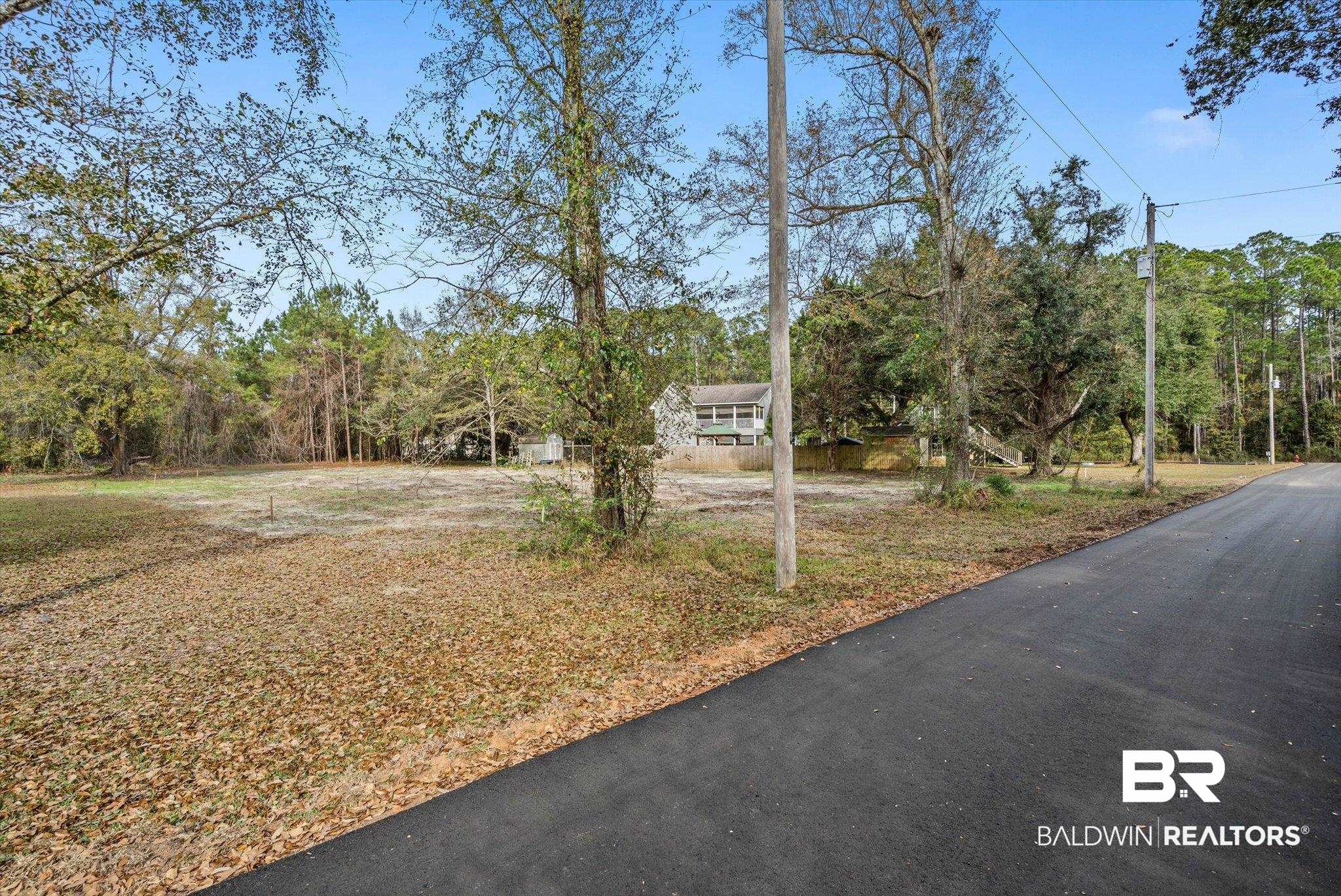 17065 Britt Lane Bon Secour, AL 36511 - Photo 4 of 15 View of asphalt road