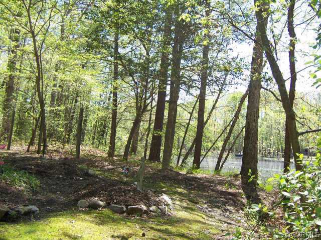 11132 Gould Hill Road Hanover, VA 23069 - Photo 4 of 8 Other