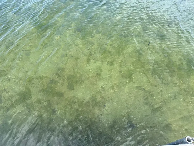 $530,000 | 7443 Walleye Lane Southwest, Alexandria, MN 56308