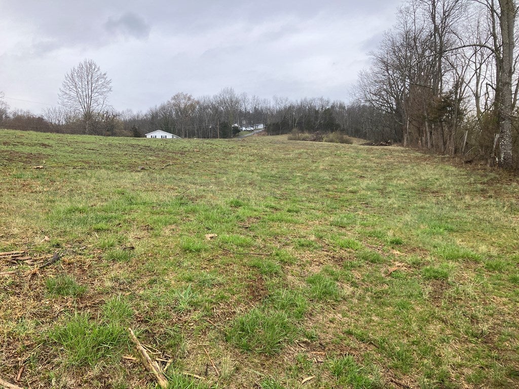 Tbd2 Old Fincastle Road Lebanon, VA 24266 - Photo 5 of 21 Gallery Image 5