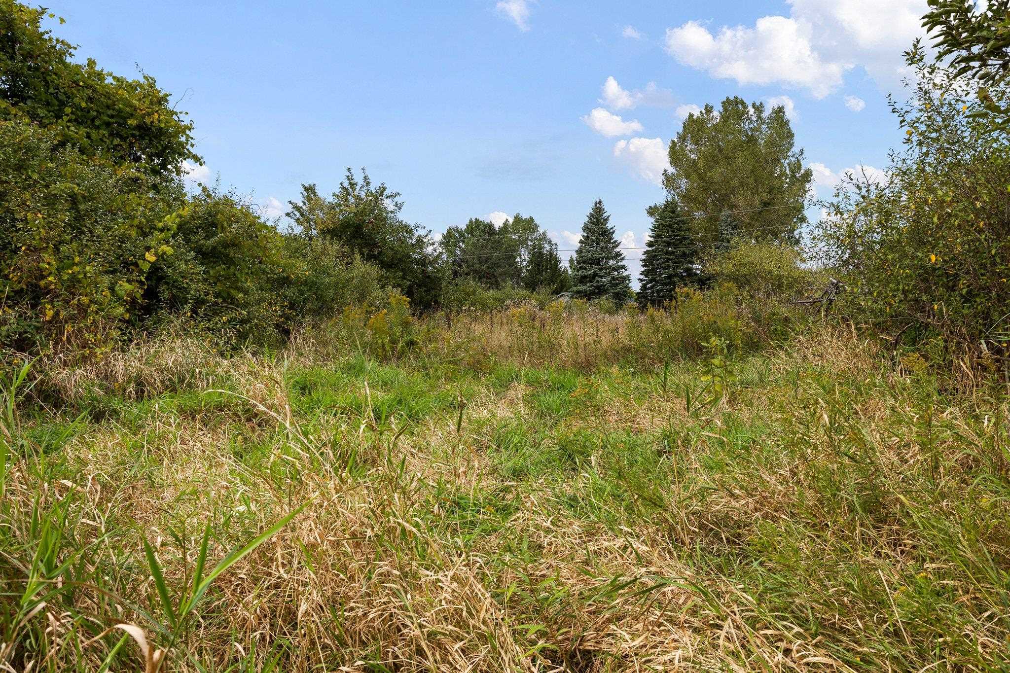Lot 5 Sutter Road, Unit LOT: 5 Kewadin, MI 49648 - Photo 31 of 41 Gallery Image 31