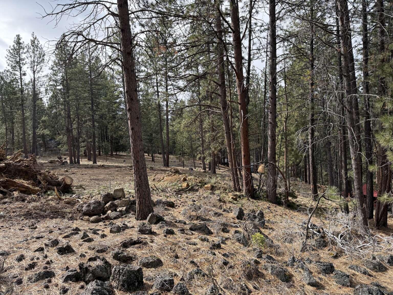 18917 Baker Road Bend, OR 97702 - Photo 2 of 6 Larson-Robinson.2