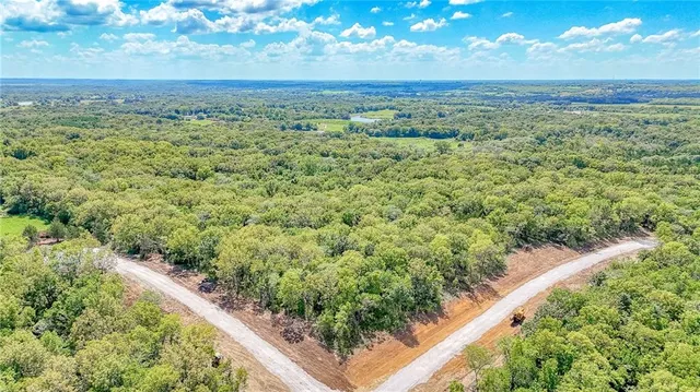 $129,900 | Lot 16 Deer View Estates Road, Holden, MO 64040