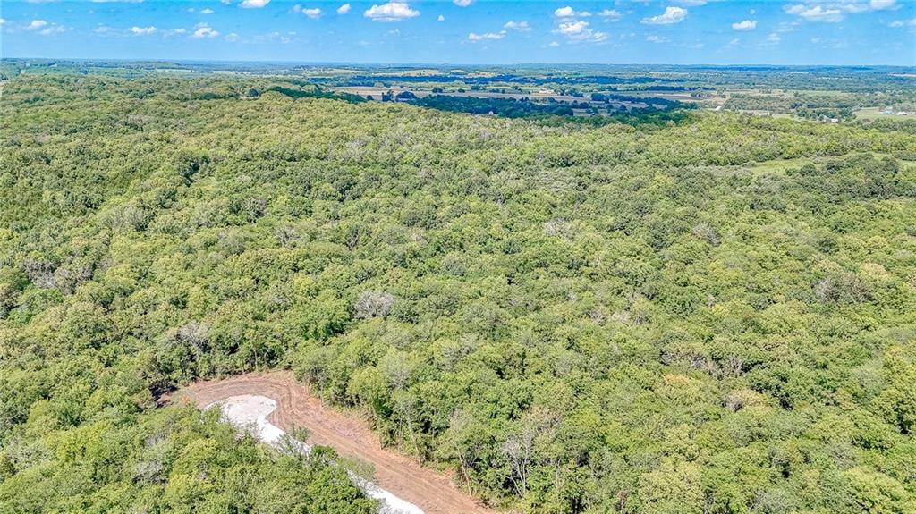 Lot 16 Deer View Estates Road Holden, MO 64040 - Photo 29 of 32