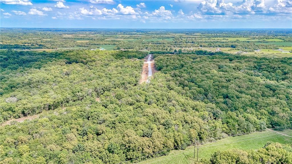 Lot 16 Deer View Estates Road Holden, MO 64040 - Photo 7 of 32