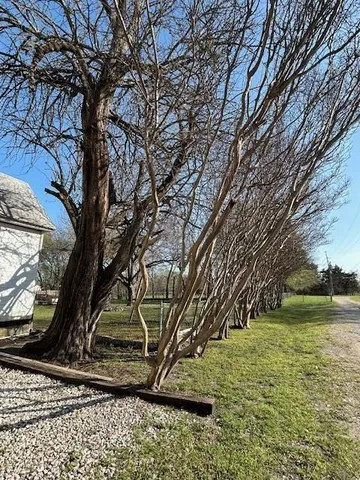 a view of a yard with a house