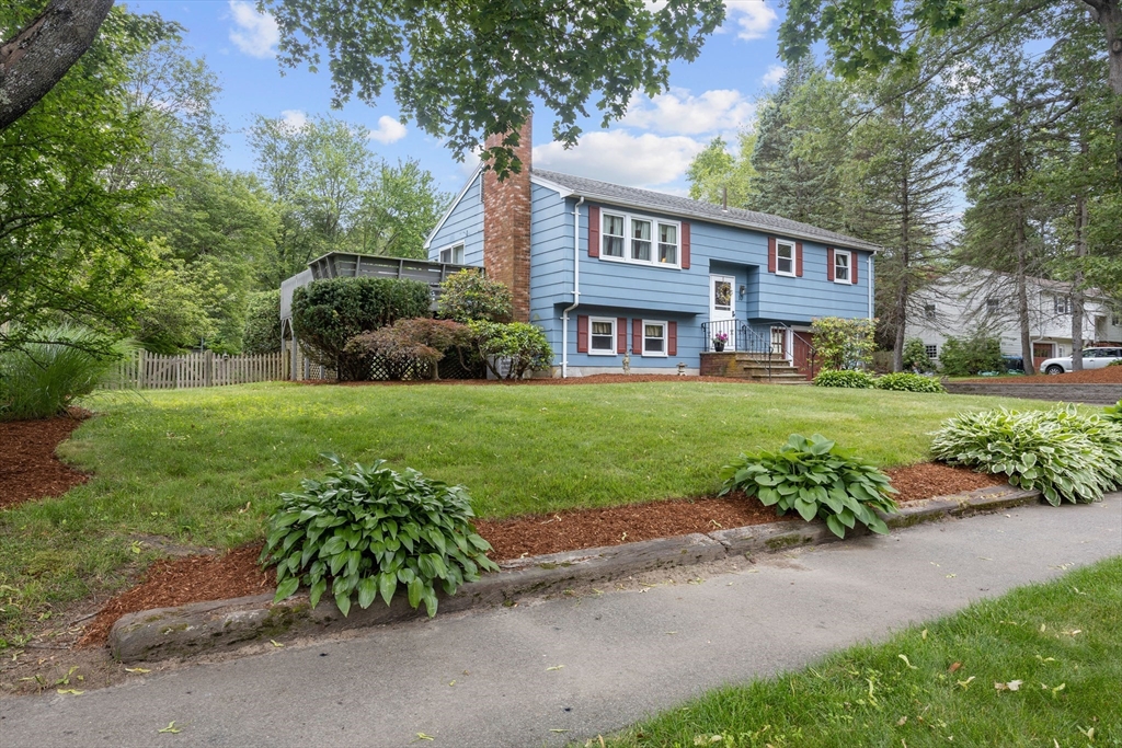 10 Tamarack Road Natick, MA 01760 - Photo 2 of 28 Gallery Image 2